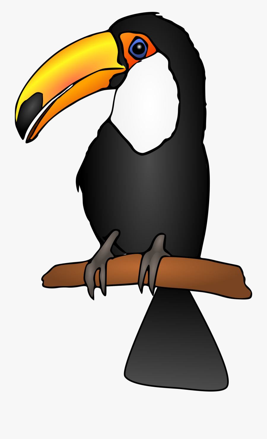Banner Freeuse Stock Toucan Vector Parrot - Toucan Clipart, Transparent Clipart