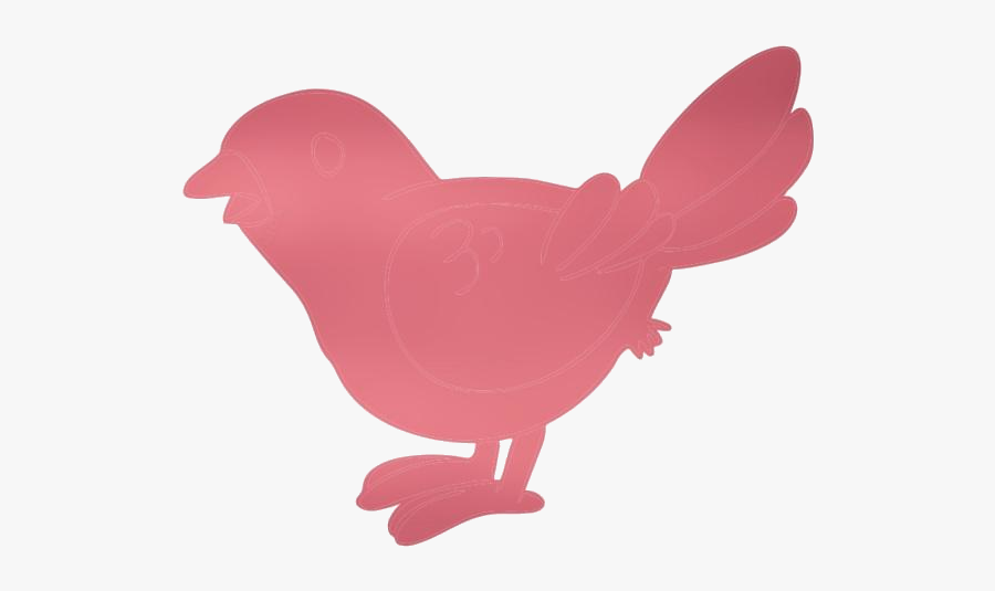 Tropical Parrot Art Png Clipart - Rooster, Transparent Clipart