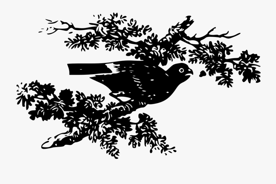 Bird On A Branch - Clip Art, Transparent Clipart