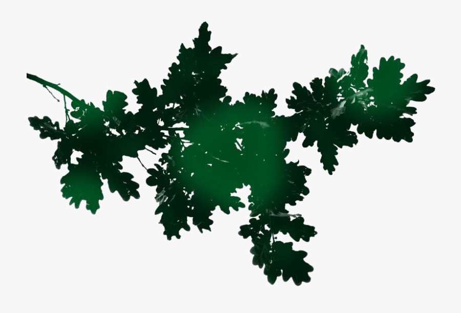 Transparent Leaf Branch Clipart, Leaf Branch Png Image - Critical Role Mollymauk Tealeaf, Transparent Clipart