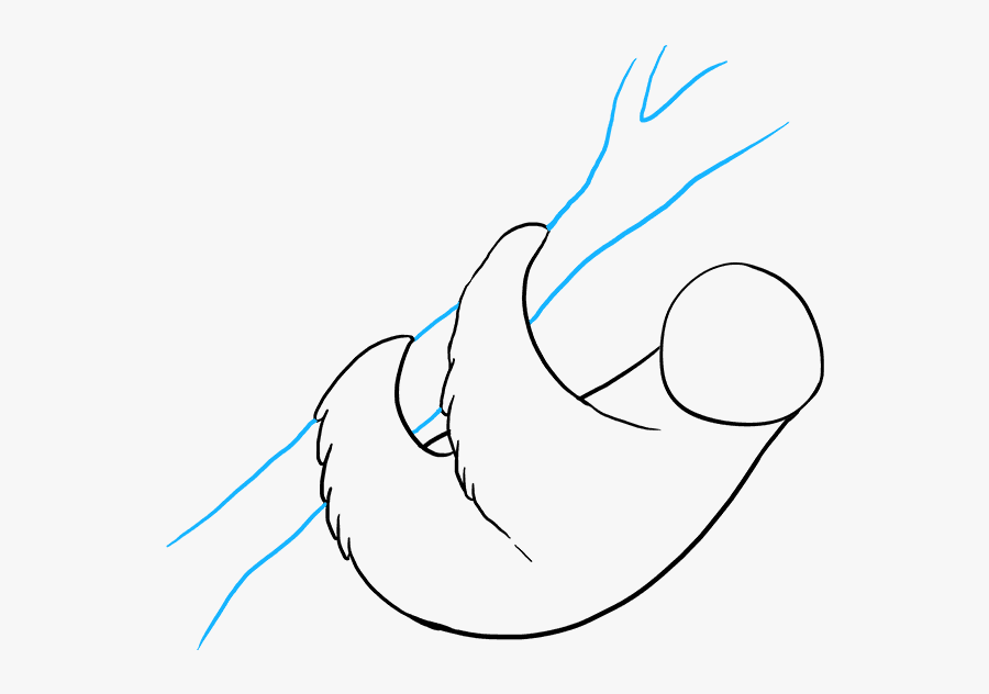 How To Draw Sloth - Line Art, Transparent Clipart