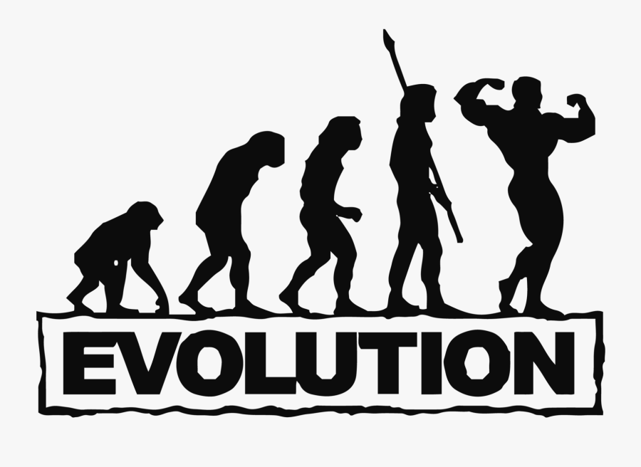 Evolution Of Man Decal - Body Building Evolution, Transparent Clipart