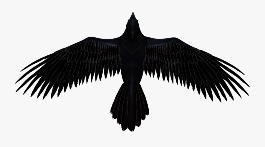 Common Raven Baltimore Ravens The Raven Clip Art - 7 Days To Die Ravenhearst, Transparent Clipart