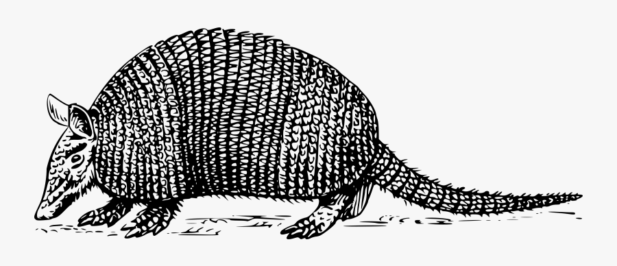 Monochrome - Black And White Armadillo, Transparent Clipart