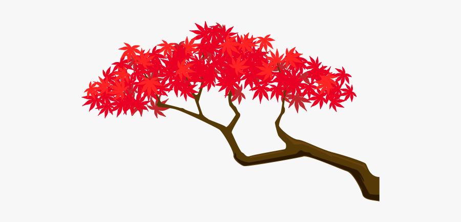 Plants Maple Tree Illustration Branch Free Clipart - Illustration, Transparent Clipart