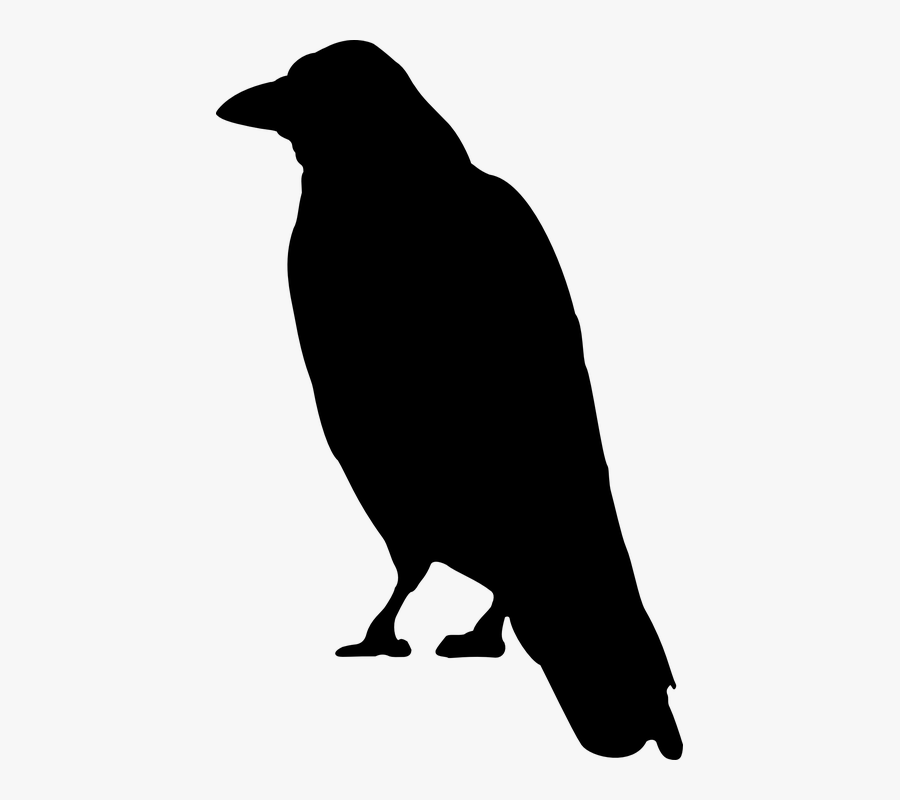 Black Crow Clip Art, Transparent Clipart