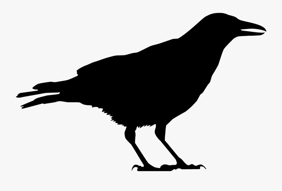 Clip Art American Crow Overview All - Black Crow Silhouette Transparent Background, Transparent Clipart