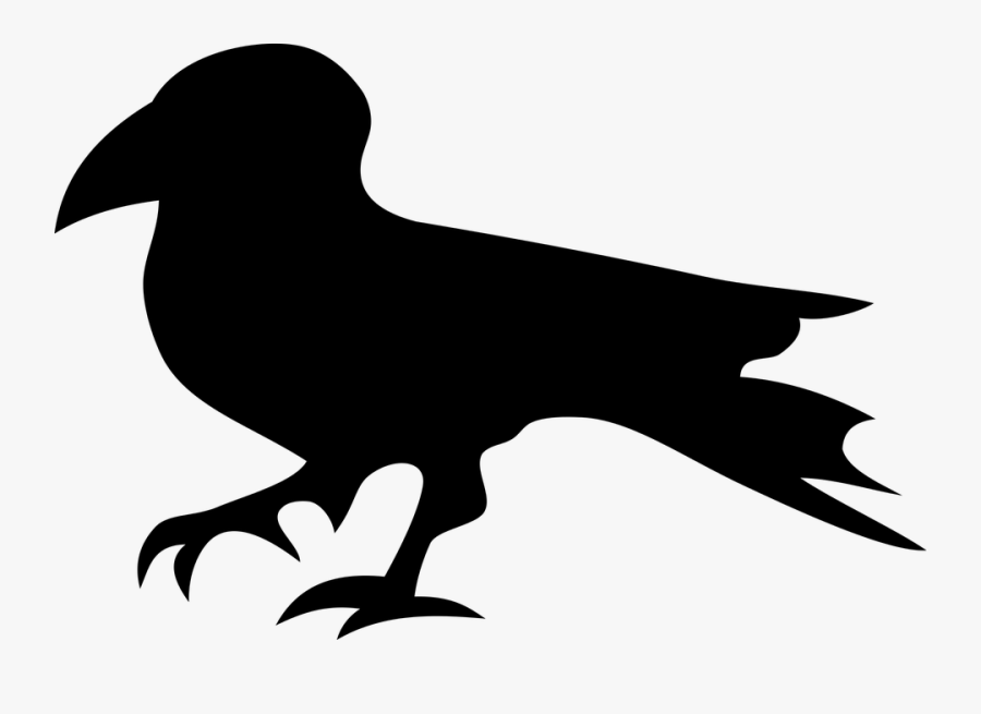Raven, Bird, Nature, Crow, Rook Bird, Animals, Beak - Modern Amusement, Transparent Clipart