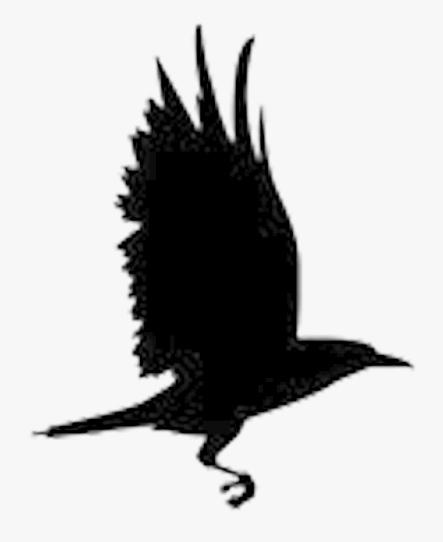 Clip Art Raven Pics - Raven New Hope Logo, Transparent Clipart