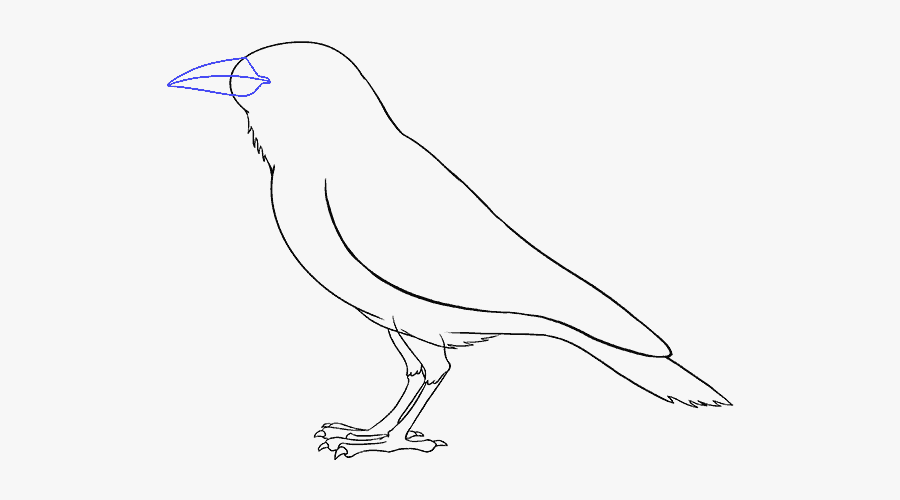 Clip Art For Free Download - Perching Bird, Transparent Clipart