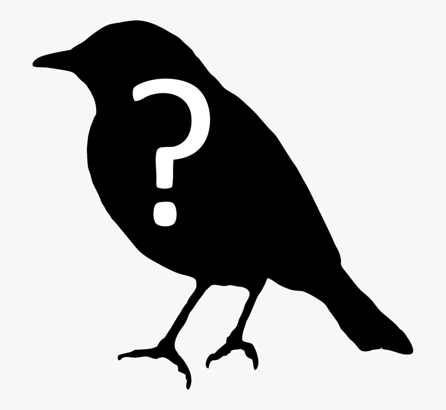 Ask An Ornithologist - Bird Question, Transparent Clipart
