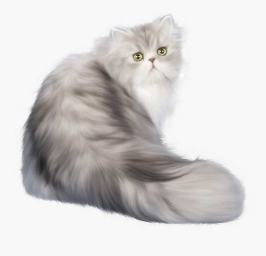 Cat Png Clip Art - Persian Cat Transparent Background, Transparent Clipart