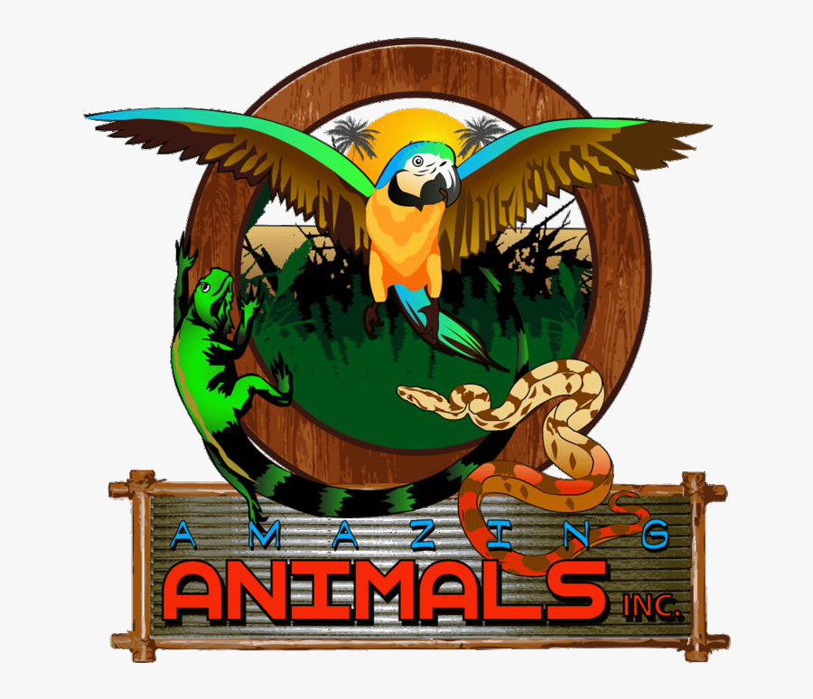 Amazing Animals Inc, Transparent Clipart