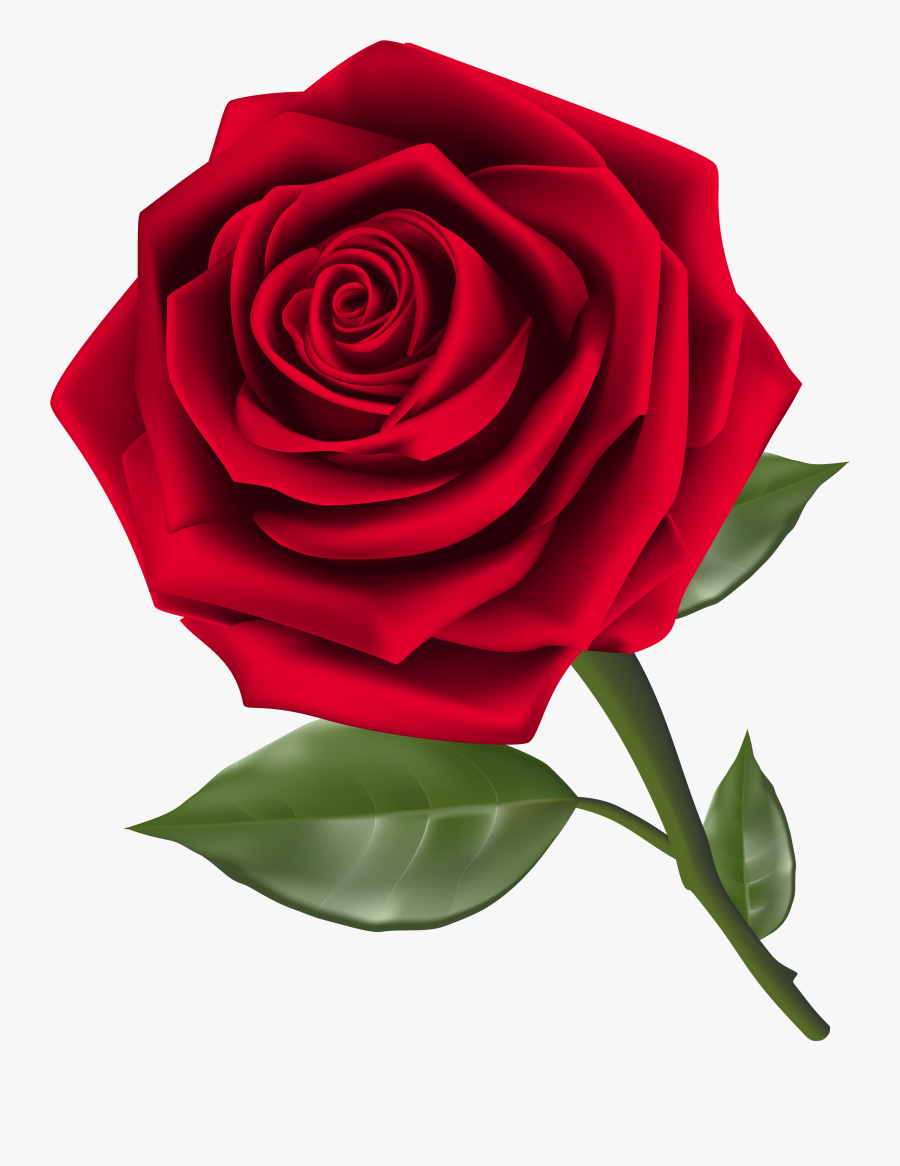 Beautiful Red Rose Png Clipart - Rose Clipart Png, Transparent Clipart