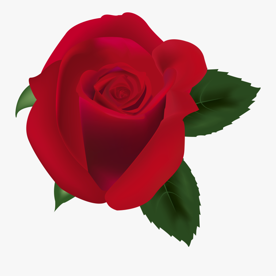 Red Rose Png Clipart Image - Red Rosevector, Transparent Clipart