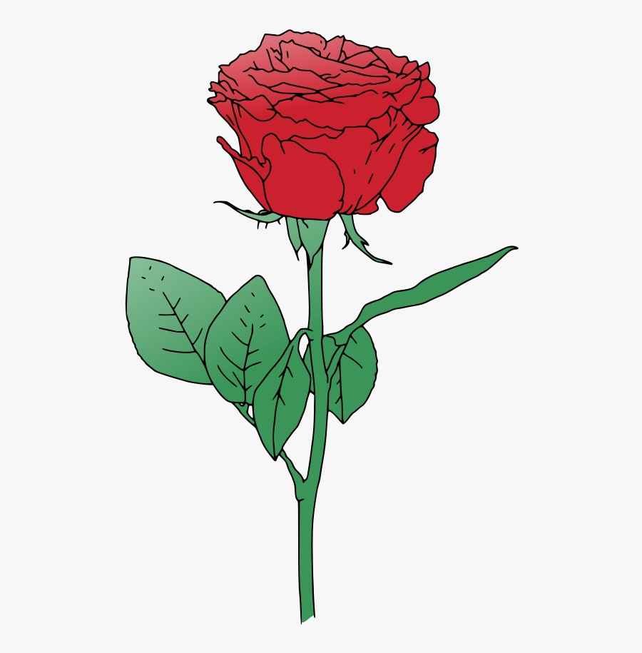 Single Red Rose Clip Art - Red Rose Vector Png, Transparent Clipart
