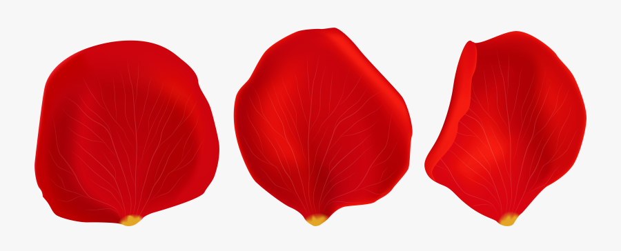 Red Rose Petals Transparent Png Clip Artu200b Gallery - Transparent Background Rose Petals Transparent Png, Transparent Clipart