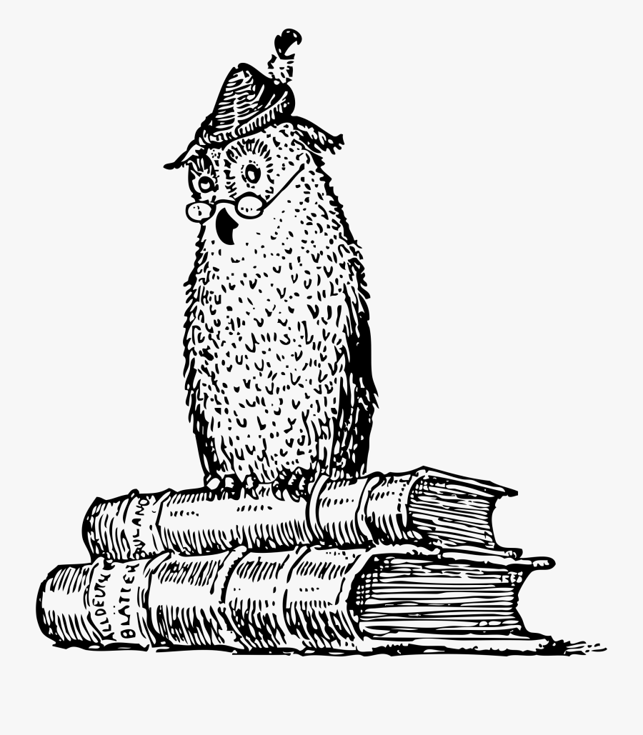 Wise Owl On Books Svg Clip Arts - Language And Composition, Transparent Clipart
