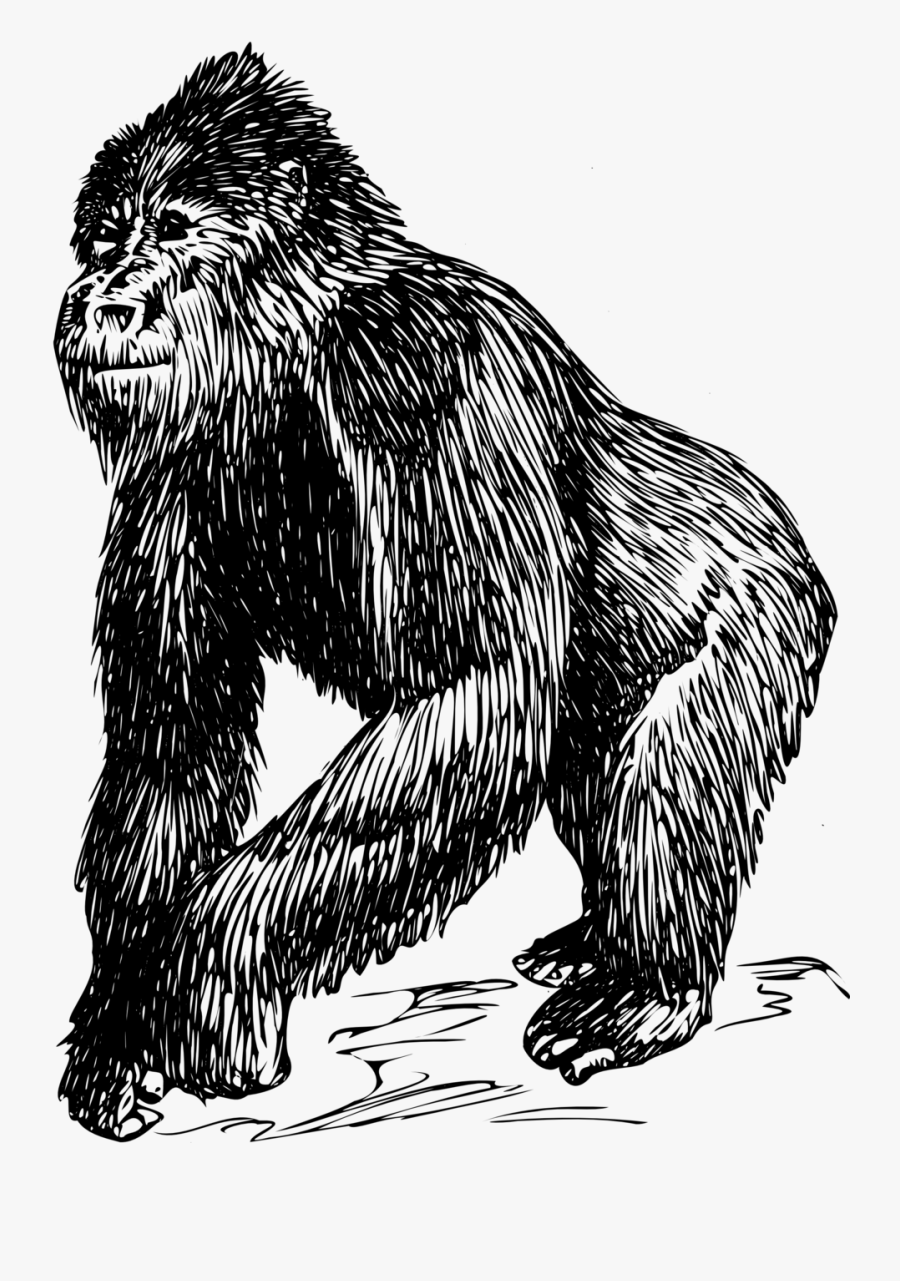 Manners Maketh Man Art, Transparent Clipart