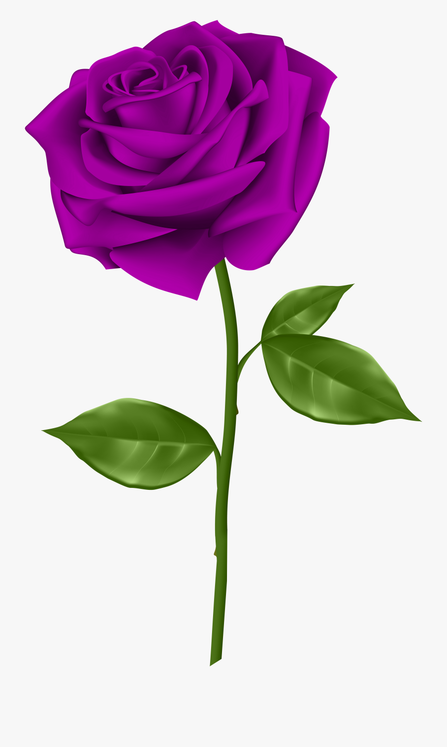 Clipart Free Download Clip - Transparent Background Purple Rose Clipart, Transparent Clipart