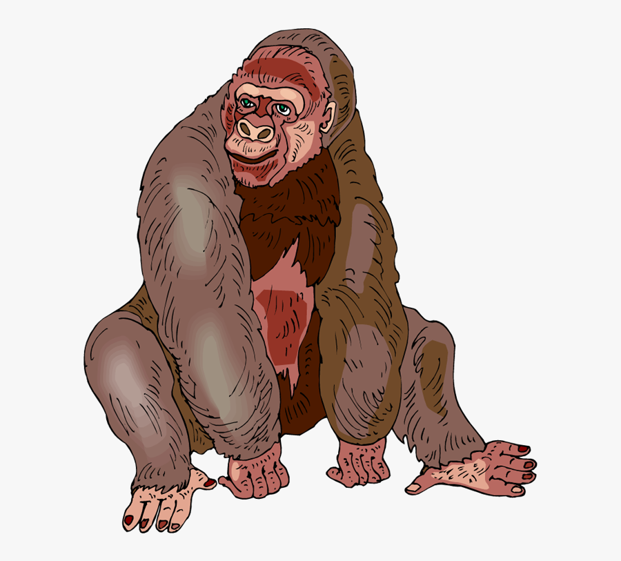 Free Gorilla Clipart - Clip Art, Transparent Clipart