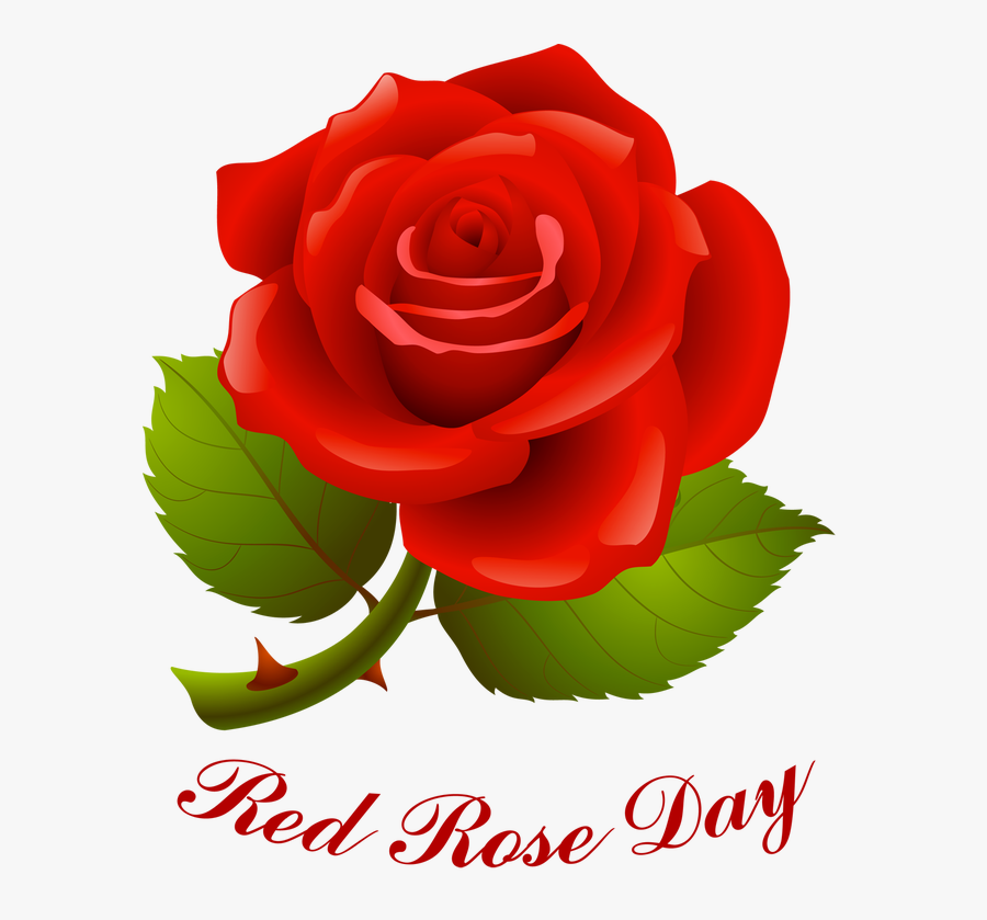 Information And Clip Art For National Red Rose Day - Rose Image Hd Png, Transparent Clipart
