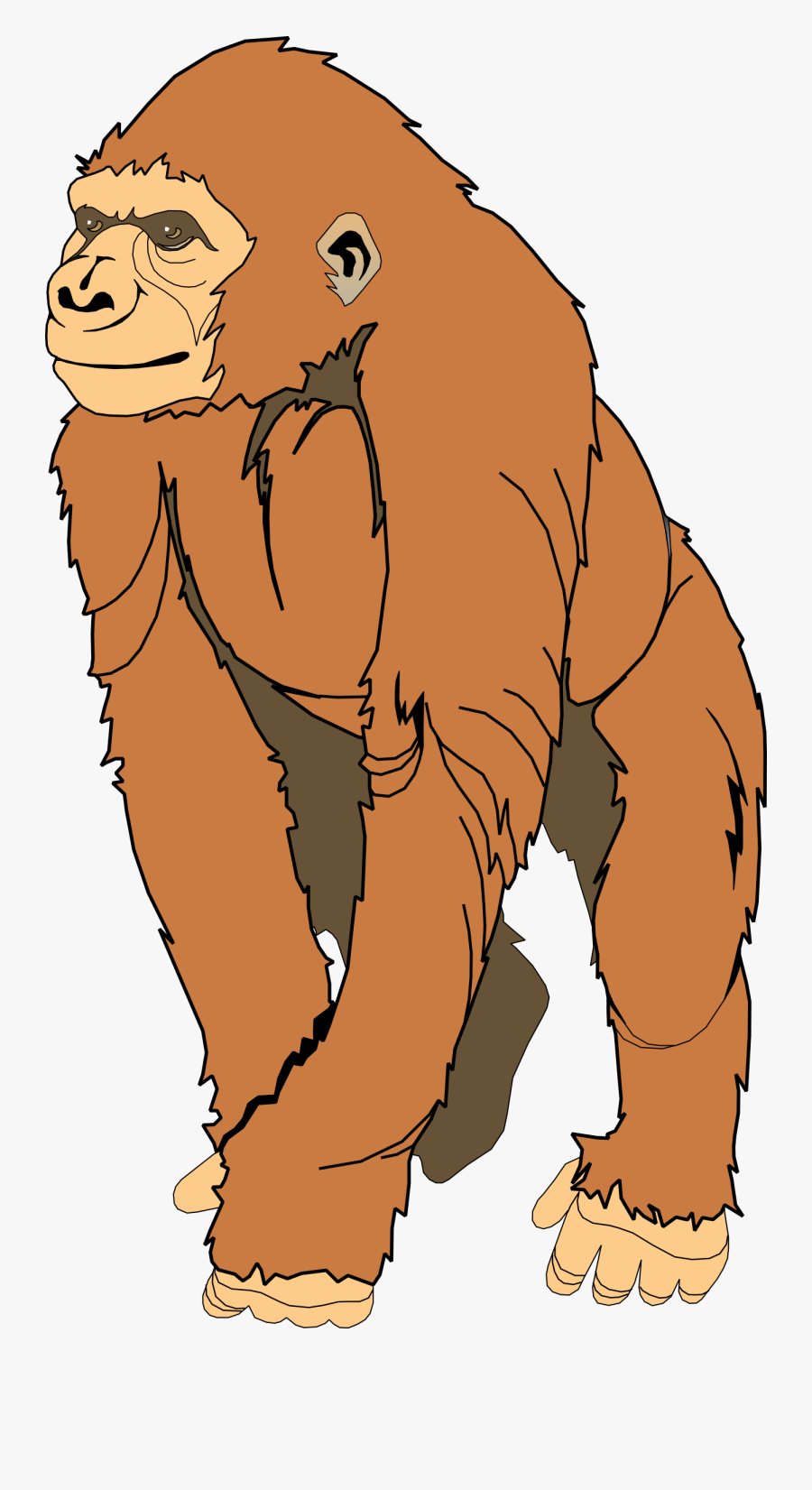 Ape Clipart - Ape Clip Art, Transparent Clipart