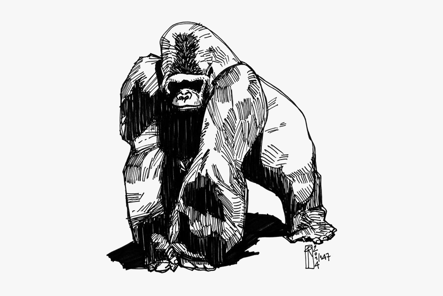Tattoo Gorilla Western Groovanometry Phaeleh Drawing - Gorilla Tattoo, Transparent Clipart