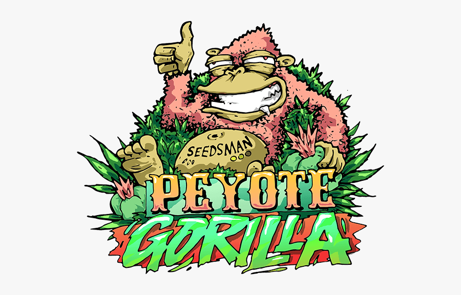 Peyote Gorilla Feminised Seeds"
 Title="peyote Gorilla - Cartoon, Transparent Clipart