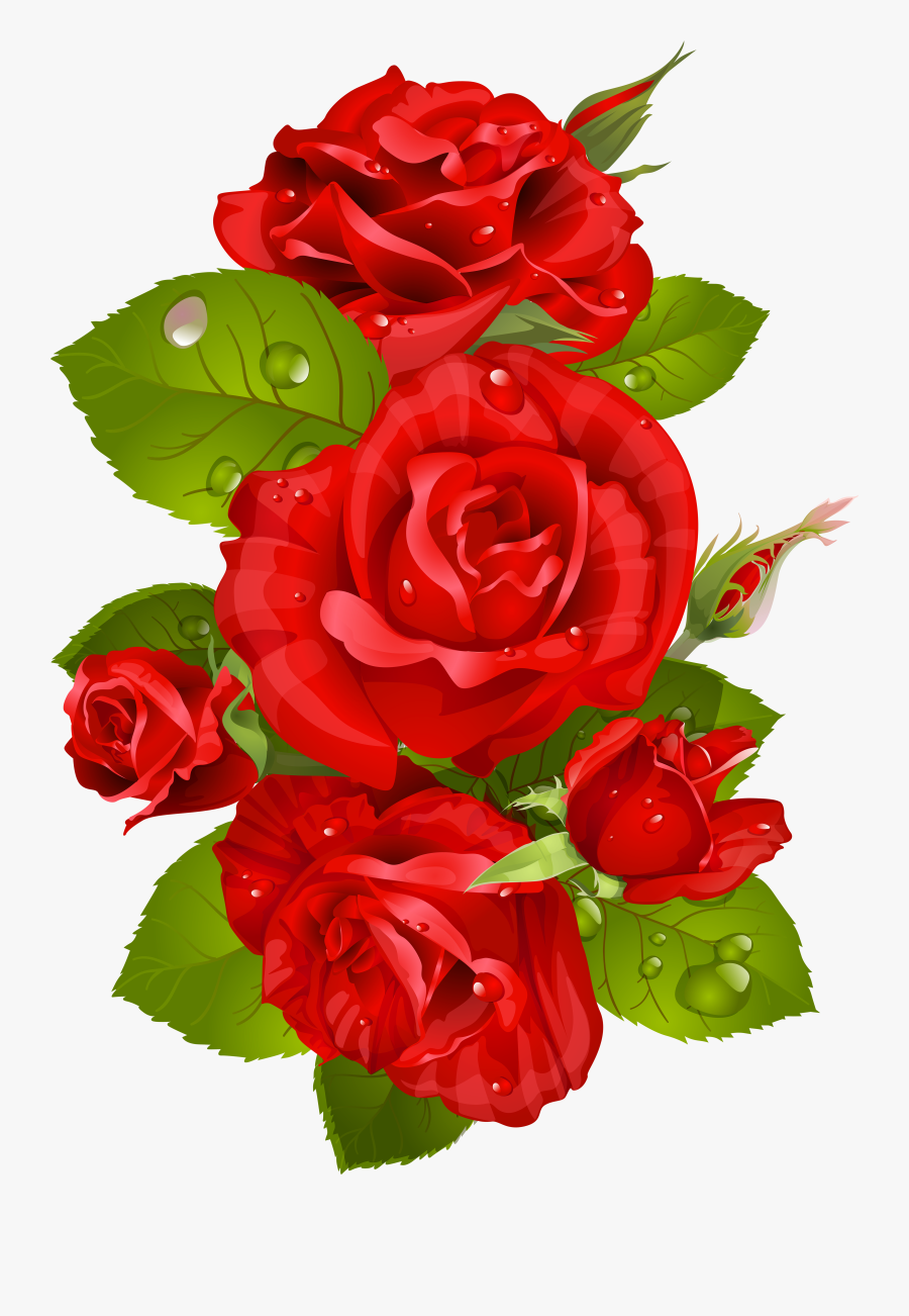 Clipart Rose Garden Rose - Roja Flower Images Png, Transparent Clipart