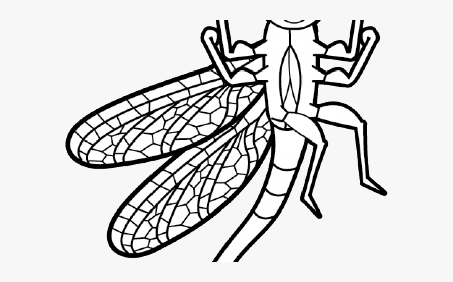 Dragonfly Clipart Black And White, Transparent Clipart