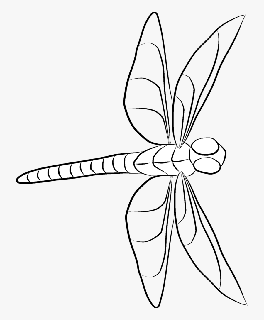 Clip Art Dragonfly At Getdrawings Com - Dragonfly Line Drawing , Free Trans...