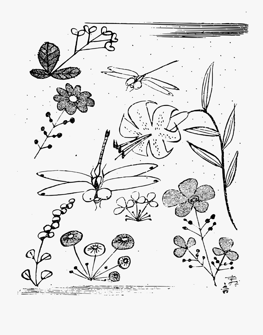 Dragonflies And Flowers Clip Arts - Line Art, Transparent Clipart