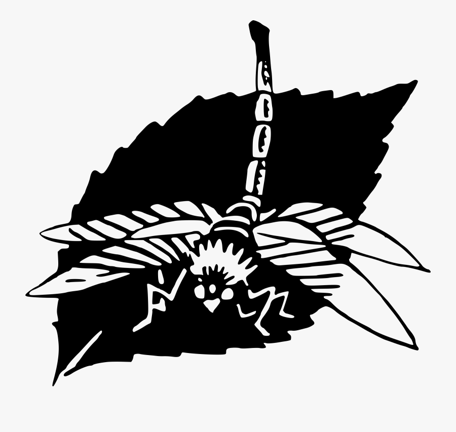 Dragonfly - Icon, Transparent Clipart