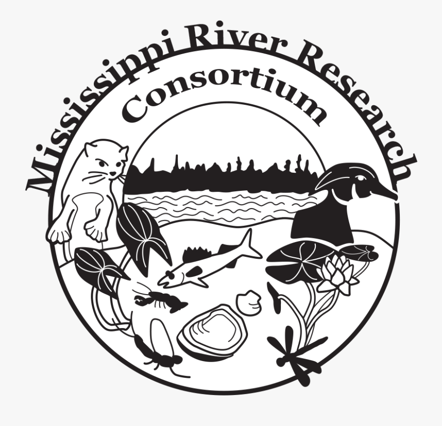 Mrrc Homepage - Illustration, Transparent Clipart