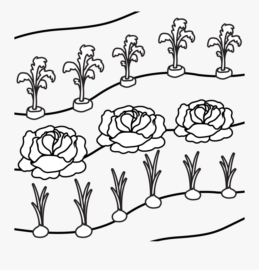 Transparent Row Of Trees Png - Line Art, Transparent Clipart