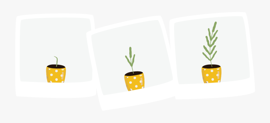 Garden Cameras, Transparent Clipart