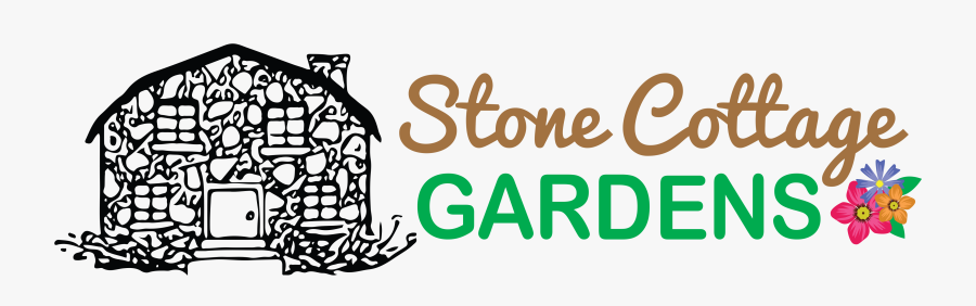 Just Another Wordpress Site"
					src="https, Transparent Clipart