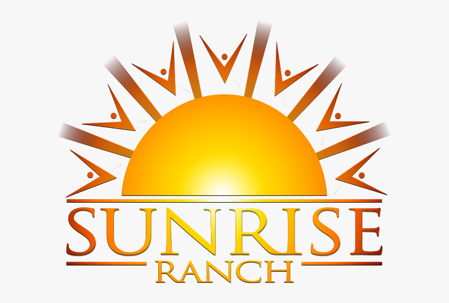 Circle, Transparent Clipart