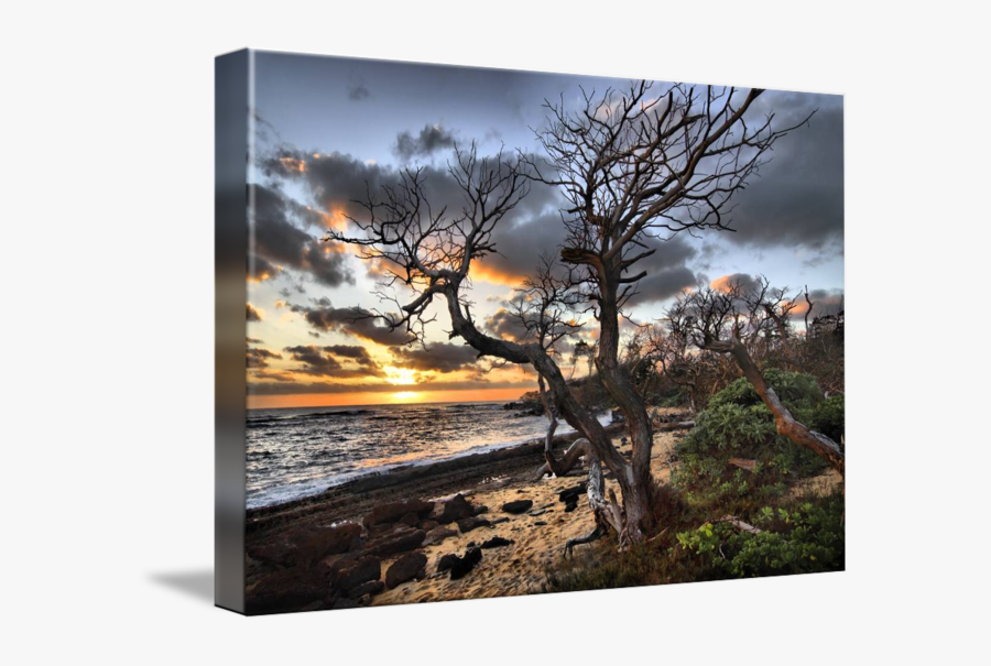 Sunset, Transparent Clipart