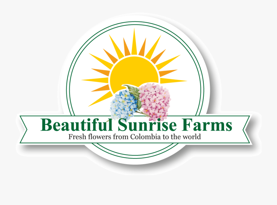 Logo Beautiful Sunrise Flowers Actualizado Sombra - Illustration, Transparent Clipart