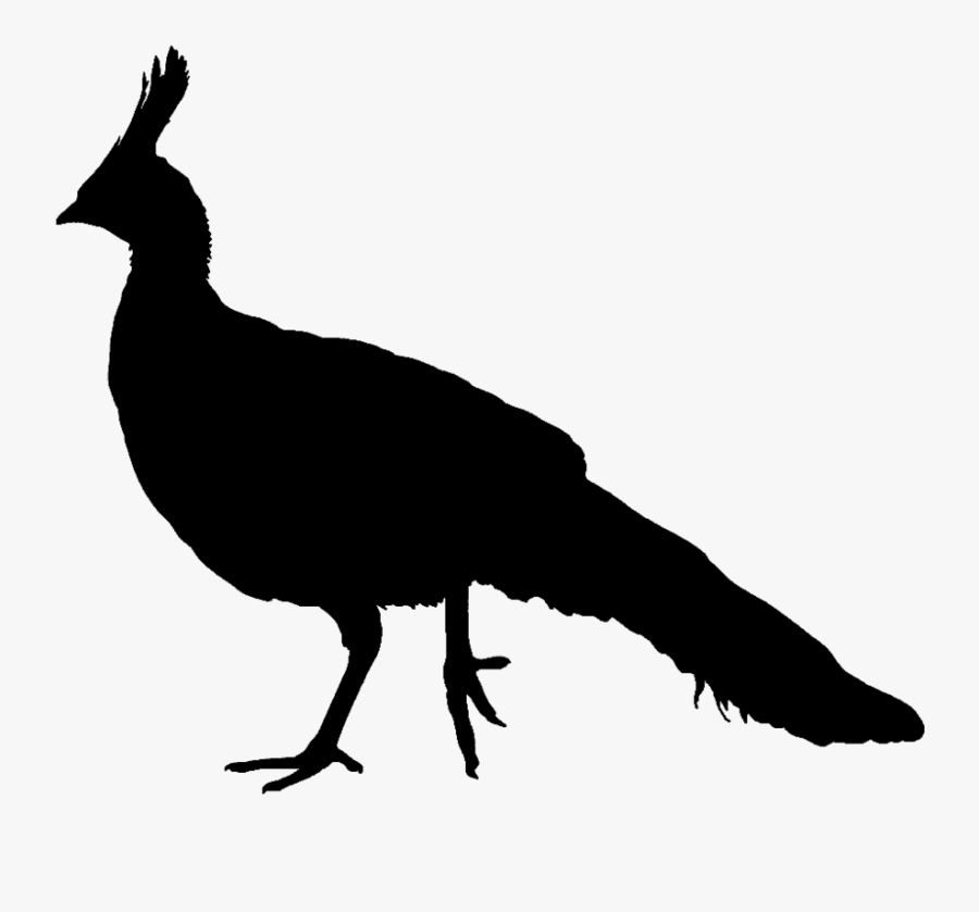 Peacock Clipart Silhouette - Peacock Silhouette Png, Transparent Clipart