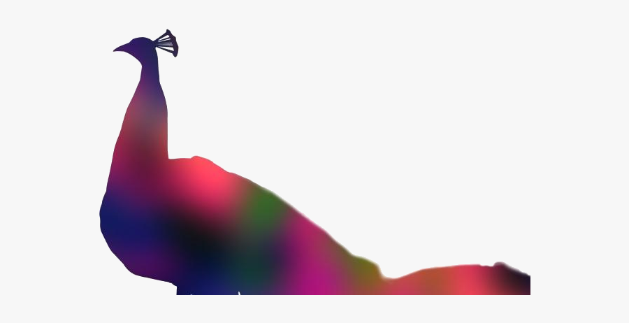 Colorful Peacock Clipart, Peacock Colorful Png Image - Peafowl, Transparent Clipart