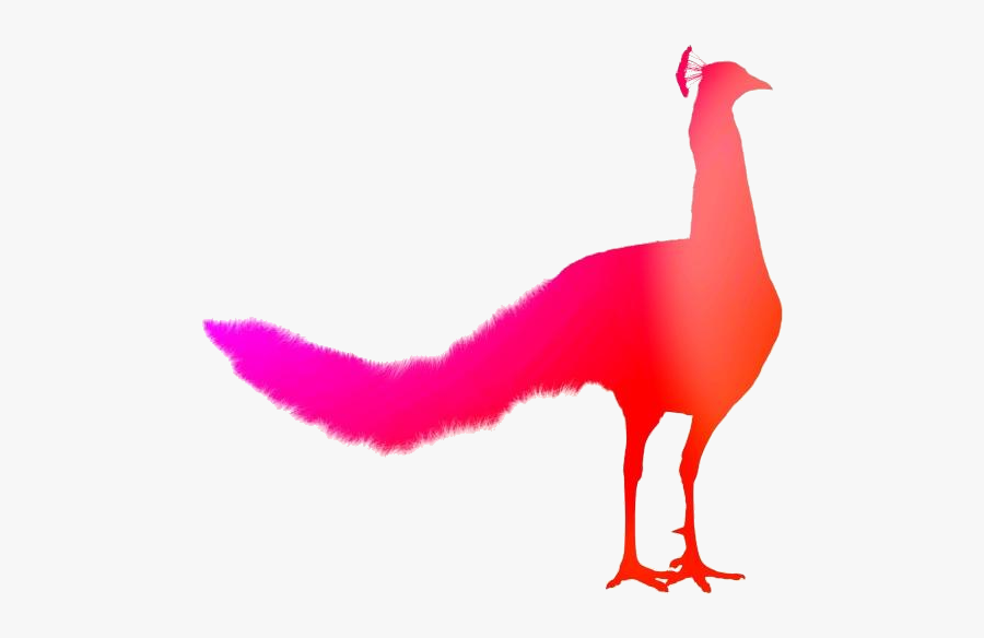 Transparent Peacock Svg Clipart, Peacock Svg Png Image - Chicken, Transparent Clipart