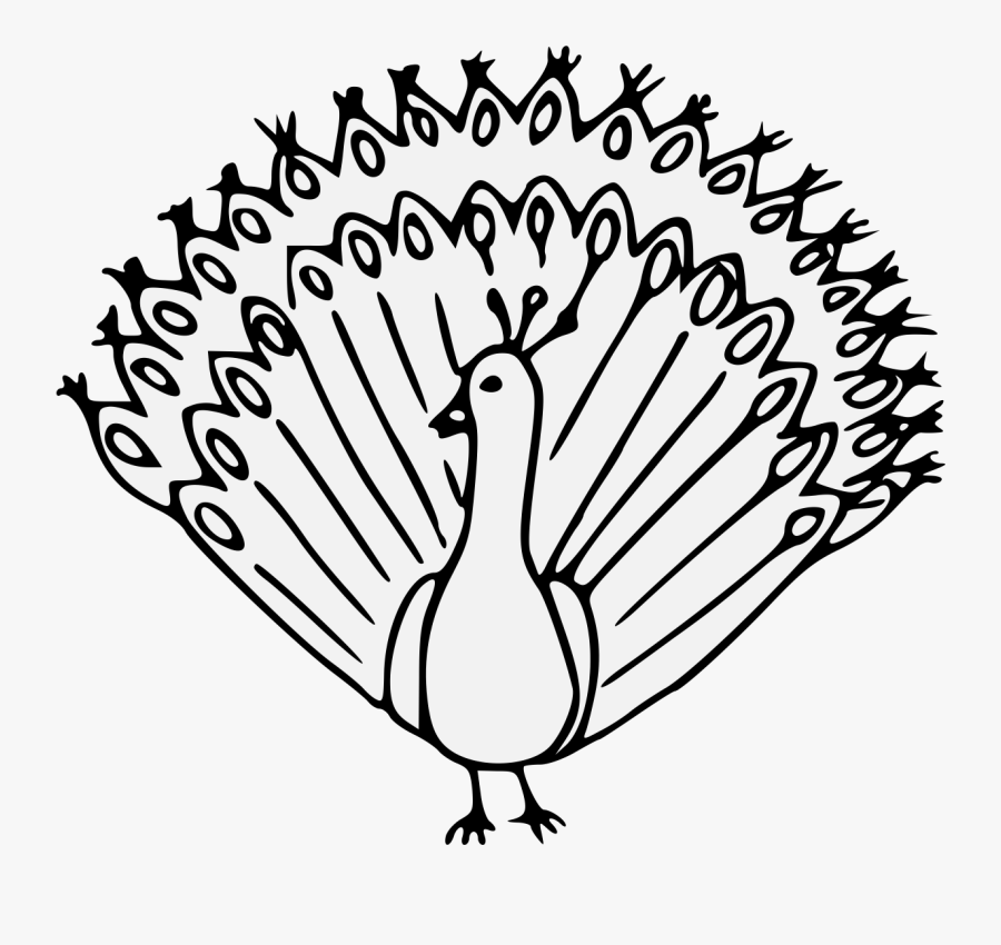 Duck, Transparent Clipart