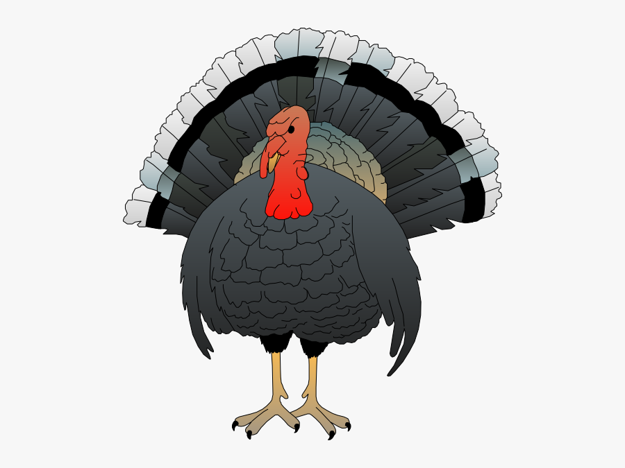 Clip Art, Transparent Clipart