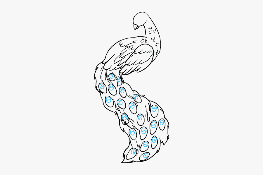 How To Draw Peacock - Draw A Peacock Easy, Transparent Clipart