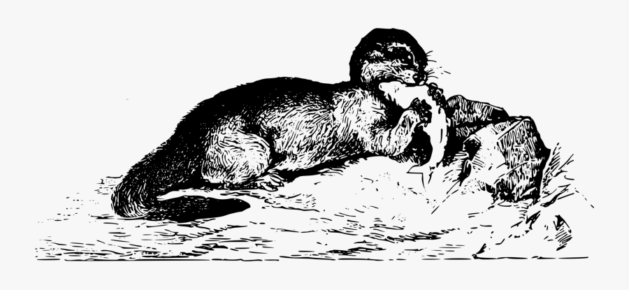 Sea Otter Clipart Christmas - Illustration, Transparent Clipart