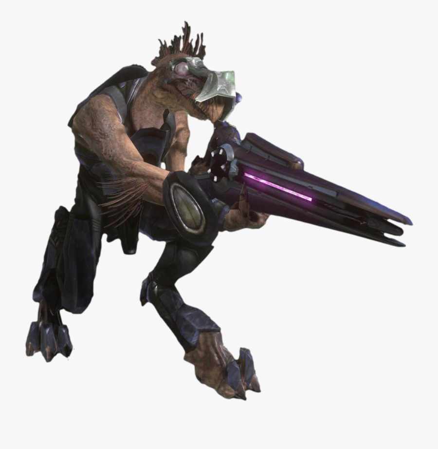 Clip Art Image H Jackal Png Nation Fandom - Halo 2 Jackal Snipers Meme, Transparent Clipart