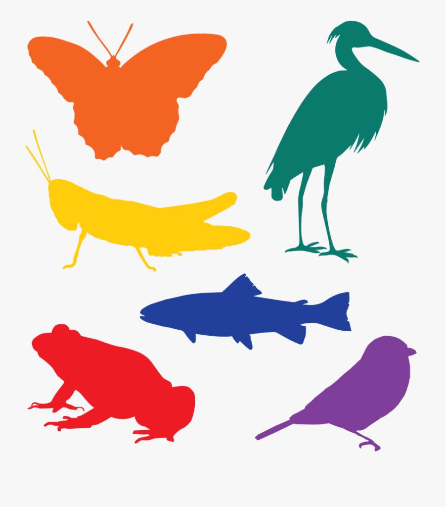 The Stormwater That Residents Of This Neighborhood - Gazelle En Silhouette, Transparent Clipart